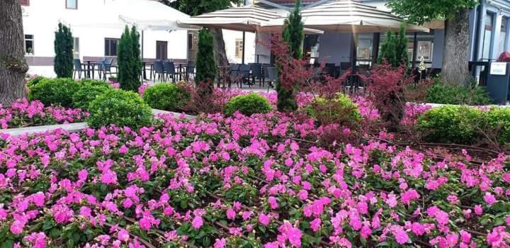 Apartmani Kramar Selce Exterior foto